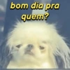 bom dia pra quem?