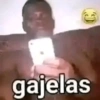 3 gajelas