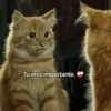 Tu eres importante.