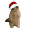 Gato Misterioso con Gorra de Santa
