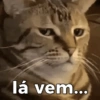 lá vem...
