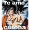 Goku shitpost 21