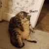 Ola mi vida 14