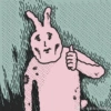 Pink korea rabbit  9