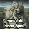 Lobo em pele de cordeiro 😏 5