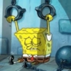 Bob esponja 🧽 5
