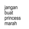Kata anomali princess 11