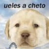 ueles a cheto