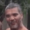 Palitos 27