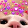 💞💖 AMOR 5 💖💞 9