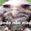 REAÇÕES  7