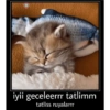 Günaydın-iyi geceler 19