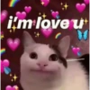 Gatitos con corazones 10