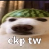 ckp tw