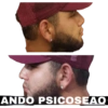 Pana 8