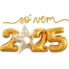 🍾 2025 | Feliz Ano Novo 15