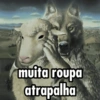 Lobo em pele de cordeiro 😏 13