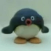 Pingu🐧✨️ 6