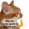 Alto ahí, no me gustó lo que hiciste