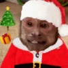 ☃️ A little bit Christmassy ☃️ 15