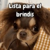 Año Nuevo meme random🎉✨️ 3
