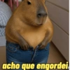 acho que engordei