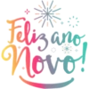 Feliz ano novo  8