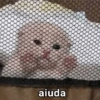 ANIMALITOS VARIADOS 🌸🐽 7