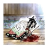 Kimetsu no yaiba ❤️🦋 12