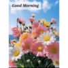 Good morning 40