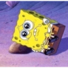 Reações do bob esponja 🥺 8