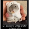 Günaydın-iyi geceler 21