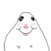 ෛ 🐹 Hamster ♡ @little.danito 22
