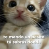 te mando un besito tú sabrás donde