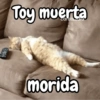 Toy muerta morida
