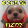 O QUE EU FIZ???