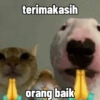 Gatau 5