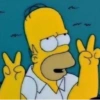 Os Simpsons 11
