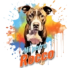 Mi perro Rocco