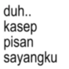 duh.. kasep pisan sayangku