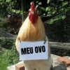 Vale a pena baixar esse 🪶🐓 5
