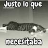 Justo lo que carols.zdio necesitaba