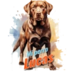 Mi perro Lucas