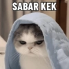 Tahun Baru versi Kucing 13