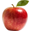 Buah / fruit 18
