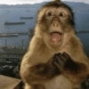 Monos  26