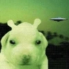 Ovnis / Aliens / Ets 👽 15