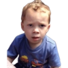Meme gavin 5