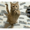 Kitfen lütfen en fen NE lütfen lütfen fen lütfen litten lütfen Jutlen lütfe lütf lütfen lütfen Ju lütfen w lütfen Juffer