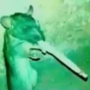 raros 13